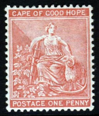 Cape Of Good Hope South Africa 1882 One Penny Rose - Red Wmk Crown Ca Sg 41