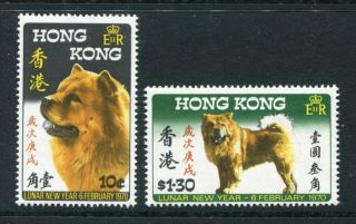 1970 China Hong Kong Qeii Year Of The Cock Set Stamps Unmounted U/m Mnh