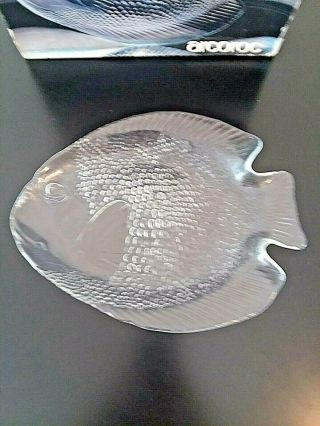 Set Of 6 Arcoroc Clear Glass Fish Dinner Plates 10.  25 " X 8.  25 " France Poisson