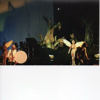 Nirvana Kurt Cobain 12 - 4x6 Color Concert Photo Set 56a