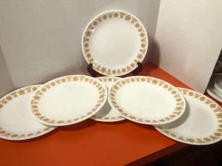 Set Of 6 Vintage Corelle Corning Butterfly Gold 10 1/4” Dinner Plates Crate