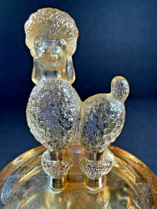 Vintage Jennette Marigold Carnival Glass French Poodle Powder Trinket Jar