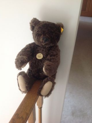 Steiff Brown 16” Teddy Bear With Ear Tag And Front Tag
