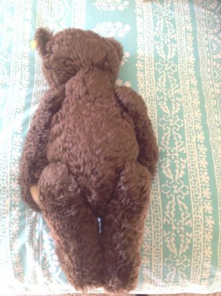 Steiff Brown 16” Teddy Bear With Ear Tag And Front Tag 3
