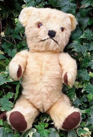 Vintage 1950s Pedigree Golden Mohair Jointed Teddy Bear With Bell In Ear - 13 "