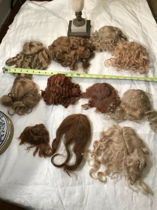 11 Antique Vintage Doll Wigs W/caps Mohair Human Hair Smaller Sizes