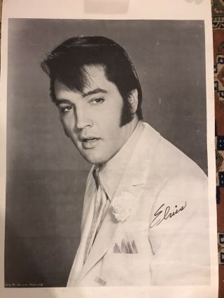 Large Elvis Presley Mgm Poster 34”x 22”