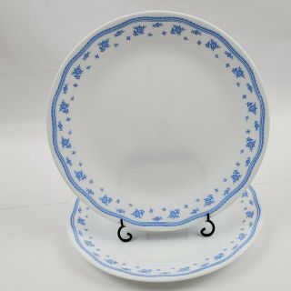 Set Of 2 Vintage Corelle Morning Blue Dinner Plates 10 1/4 " Ribbon Floral