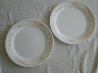 Set Of 2 Corning Corelle Peach Garland Pattern 10¼ " Dinner Plates