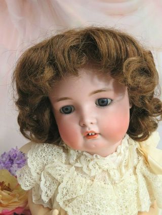 Antique Vintage Human Hair Doll Wig Medium Brown Girl Or Boy Part Bangs 16 " Cir