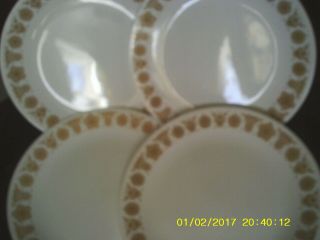 Set Of 4 - Corning Corelle Gold Butterfly 10.  25 " Dinner Plates - Euc