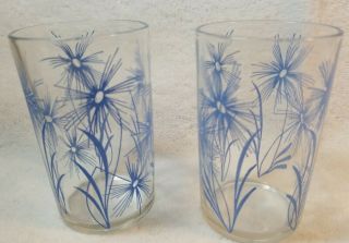 Vintage Set Of 2 Hazel Atlas Drinking Glass - Blue Flowers