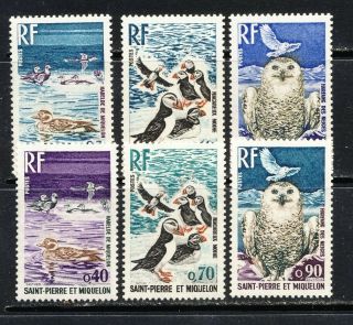 Saint Pierre And Miquelon Bird Set,  Puffins,  Owls,  Ducks Sc.  423 - 8 Mnh Vf 38.  00