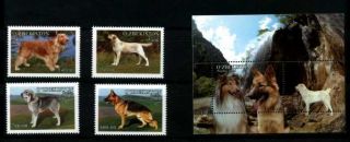 2006.  Uzbekistan.  Dogs.  S/sheet,  Set.  Mnh.  Sc.  445 - 448,  449