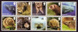 Great Britain 2010 Mammals Set Of 10 Unmounted.