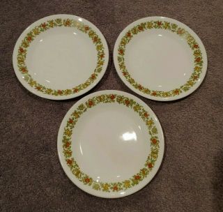 Vintage Corelle Spice Of Life Pattern Bread & Butter Plates 6.  75 " – Set Of 3