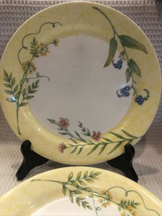 Set Of 3 Corelle Sun Garden 9 " Luncheon Plates Yellow Rim Impression Wild Flower