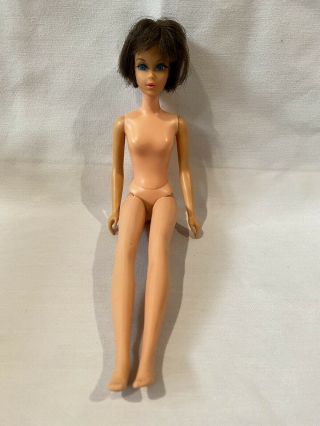 Vintage 1966 Fair Hair Barbie Doll Brunette Blue Eyes On A 1966 Tnt Body