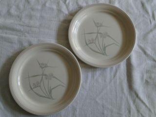 Set Of 2 Corning Corelle Spring Pond Pattern 8½ " Luncheon Plates