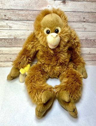 Rare Htf Build A Bear Orangutan Plush St.  Louis Zoo Baby Monkey Stuffed Animal