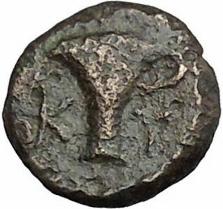Kyme In Aeolis 350bc Eagle & Vase On Authentic Ancient Greek Coin I50231