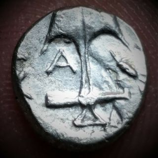 Thrace Apollonia Pontica.  Later 4th Century Bc.  Ar Diobol Rare