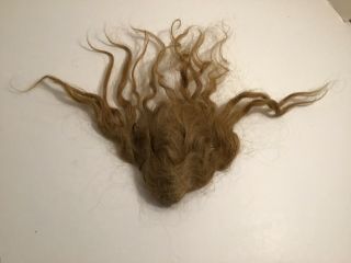 Antique Medium Brown Human Hair Doll Wig