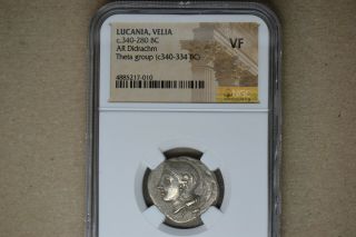 Lucania.  Velia.  Ca.  340 - 300 Bc.  Ar Didrachm (21mm,  2h).  Ngc Vf.  Theta Group