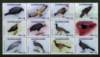 Suriname Birds On Stamps 2017 Mnh Bird Of Prey Falcons 12v Block