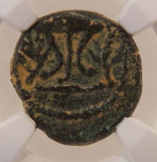 Herod The Great,  Ngc,  Ae - 2 Prutah,  Bronze Coin,  40 To 4 Bc,  Biblical Coin,  Ac097