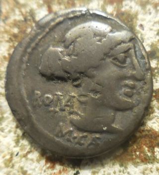 M.  Cato.  Denarius.  Denarius (18 Mm,  3.  46 Gm) Rome,  89 Bc.  " Roma " Victory