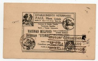 1920´s Argentina To Uruguay Cover Football / Animals Advertising,  Wow