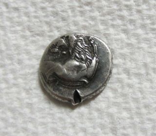 Ancient Greek Coin Thrace Chersonesos Ar Silver Hemidrachm Triobol 386 - 338 Bc