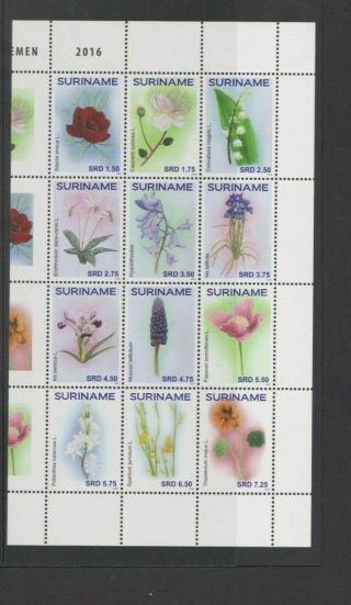 Suriname 2016 Flora Flowers Strip/block 12v Set Mnh Per Scan