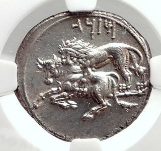 Tarsos Cilicia Authentic Ancient 331bc Silver Stater Greek Coin Lion Ngc I74855