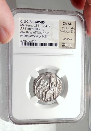 TARSOS CILICIA Authentic Ancient 331BC Silver Stater Greek Coin LION NGC i74855 3