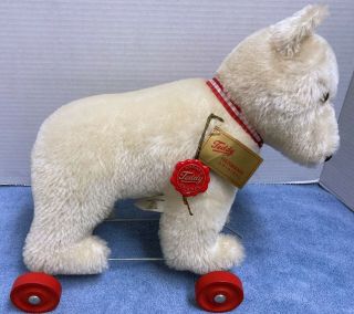 Hermann Ltd.  Ed.  Teddy Anniversary Bear White Mohair Germany Pull Toy On Wheels