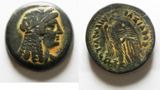 Zurqieh - As13467 - Ptolemaic Kings Of Egypt.  Ptolemy V Epiphanes.  204 - 180 Bc.  Æ 2