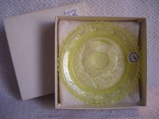Vintage Nos (old Stock) Pairpoint Glass Cup Plate Yellow Thistle In Orig Box