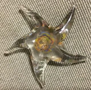 Dynasty Gallery Glass Starfish Multi - colored Swirl Paperweight 4 3/4 W X 1.  5 H H 3