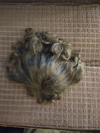 Brunette Bobbed Wig From Vintage Cissy Doll