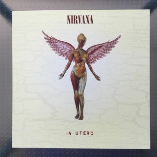 Nirvana In Utero 2 - Sided Promo Flat 12x12