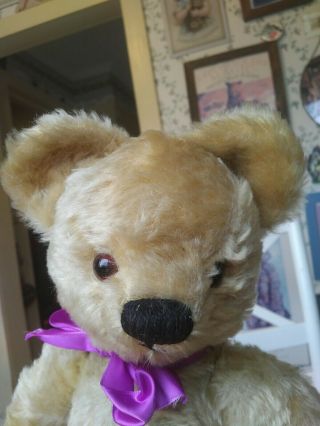 Antique Vintage 1950s Blond Mohair Chad Valley Teddy Bear England Uk 16in Vgc