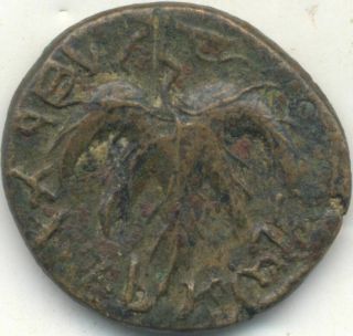 Jewish Judaea Bar Kochba Roman Ae Middle Bronze 132 - 135 Ad Vine Palm Coin Xf,