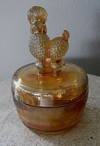 Jeanette Marigold Carnival Glass Powder Box With Poodle On Top Of Cover