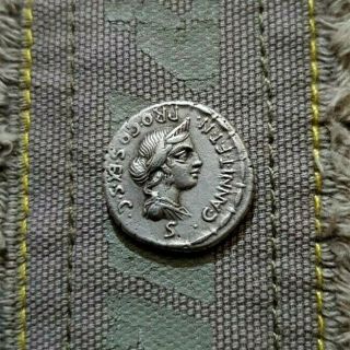 Ancient Roman Republic Silver Denarius C.  Annius With L.  Fabius L.  F.  82 - 81 Bc.