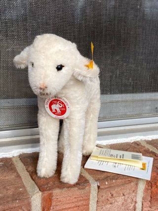 Steiff Lamb Standing 0793298 All Id 6”