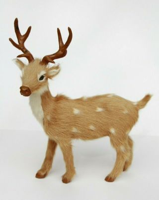 Vintage Deer Ornament Real Fur Mini Taxidermy Doll Tattoo Studio Decoration