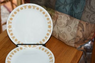 Set Of 4 Corelle Corning Brown Flower Butterfly Gold 8” Lunch Plates