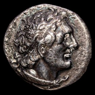 Lucernae Ptolemy Ii Tetradrachm Eagle Alexandria 285 - 246 B.  C.
